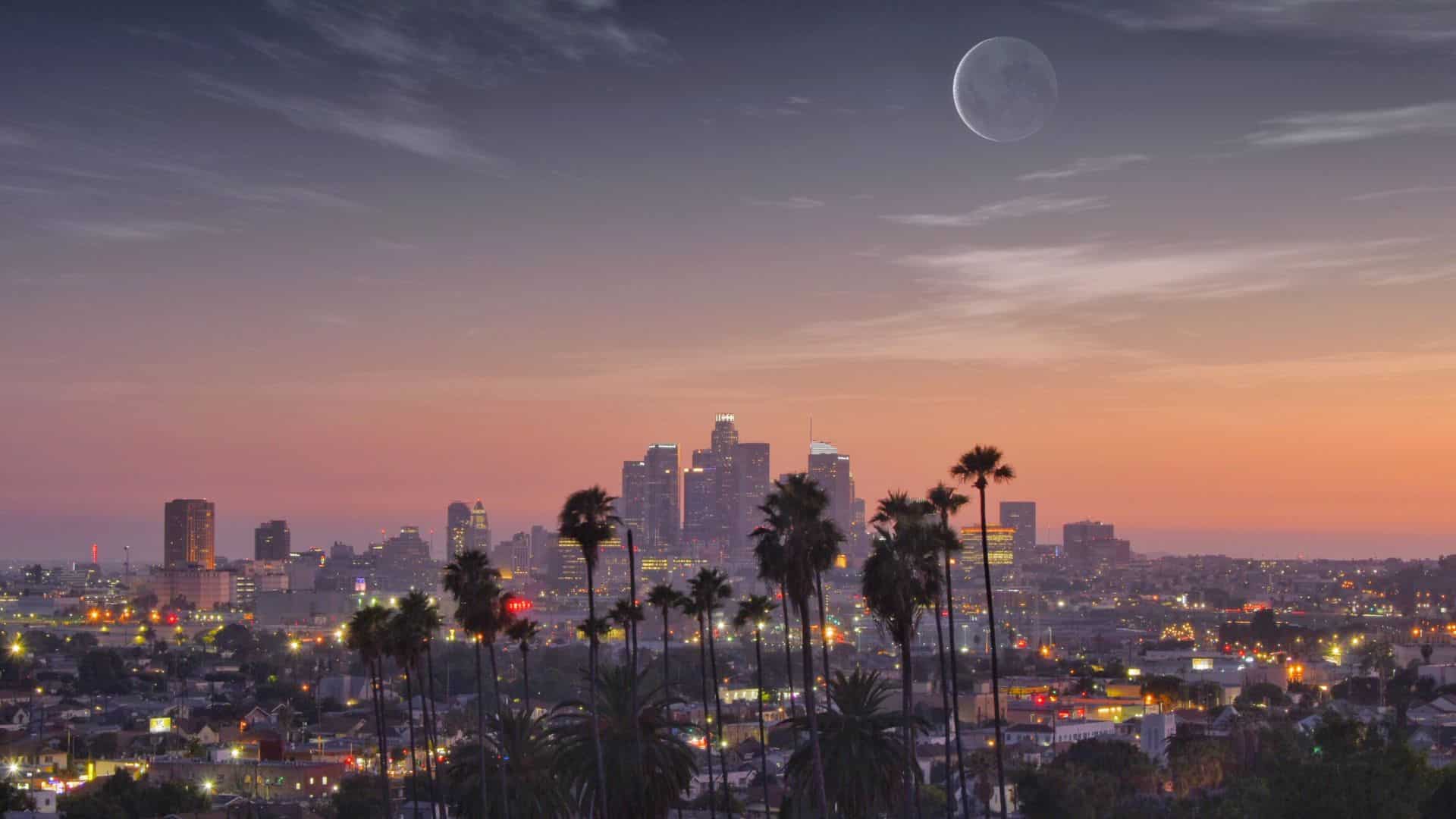 Evening city view with palma trees and tall buildings